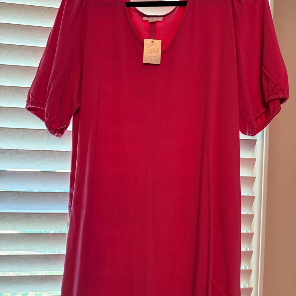 J. Jill Short Sleeve V-Neck Shift Dress in Raspberry